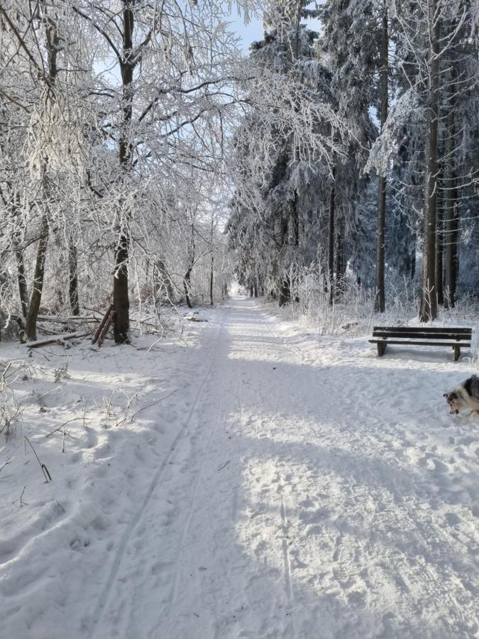 Ferienwohnung Schanzenblick Winterberg Exterior foto